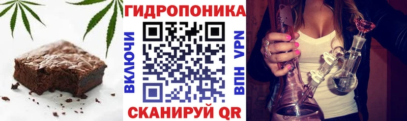 Canna-Cookies марихуана  купить наркоту  shop какой сайт  Кяхта 