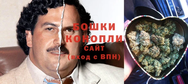 молекула духа Краснослободск
