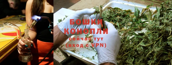 молекула духа Кодинск