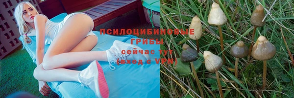 дурь Аксай